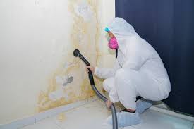 Asbestos and Lead Testing During Mold Inspection in Brewster, WA